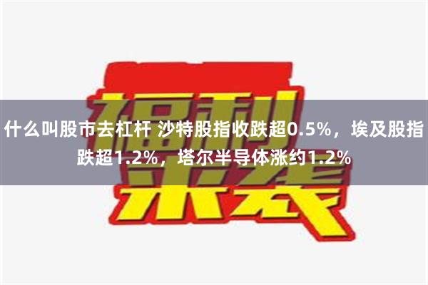 什么叫股市去杠杆 沙特股指收跌超0.5%，埃及股指跌超1.2%，塔尔半导体涨约1.2%