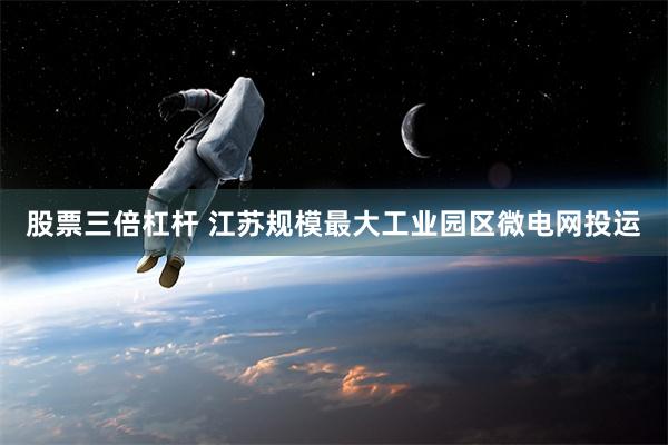 股票三倍杠杆 江苏规模最大工业园区微电网投运