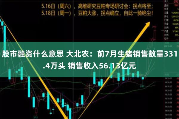 股市融资什么意思 大北农：前7月生猪销售数量331.4万头 销售收入56.13亿元