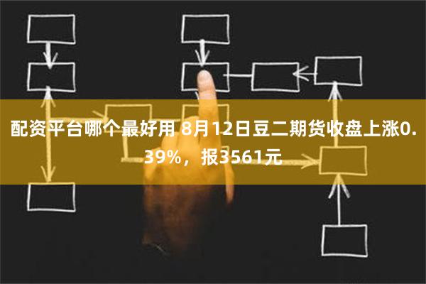 配资平台哪个最好用 8月12日豆二期货收盘上涨0.39%，报3561元