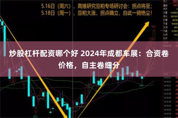 炒股杠杆配资哪个好 2024年成都车展：合资卷价格，自主卷细分