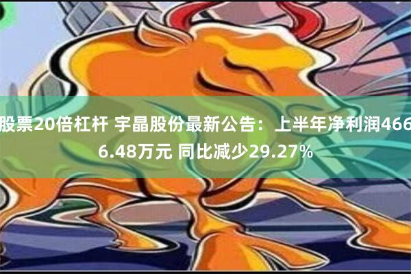 股票20倍杠杆 宇晶股份最新公告：上半年净利润4666.48万元 同比减少29.27%