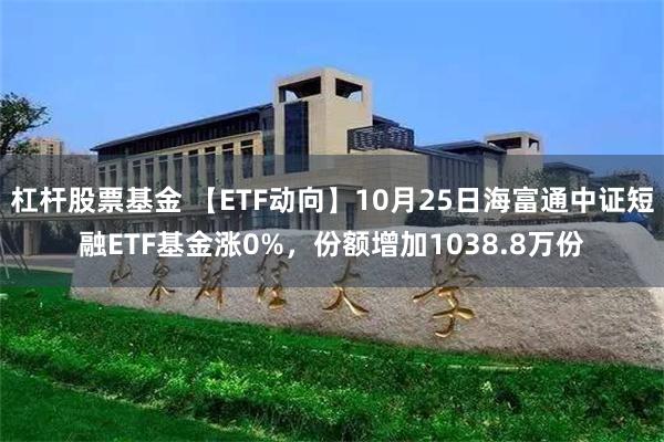 杠杆股票基金 【ETF动向】10月25日海富通中证短融ETF基金涨0%，份额增加1038.8万份