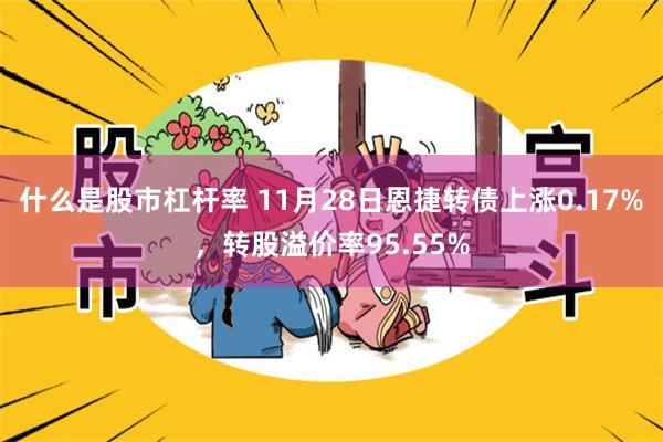 什么是股市杠杆率 11月28日恩捷转债上涨0.17%，转股溢价率95.55%